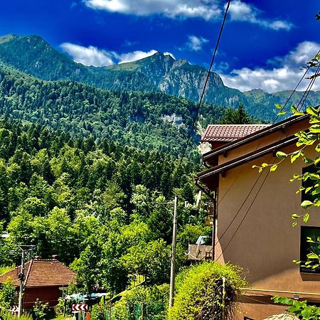 Pensiunea Roua Sinaia Kültér fotó