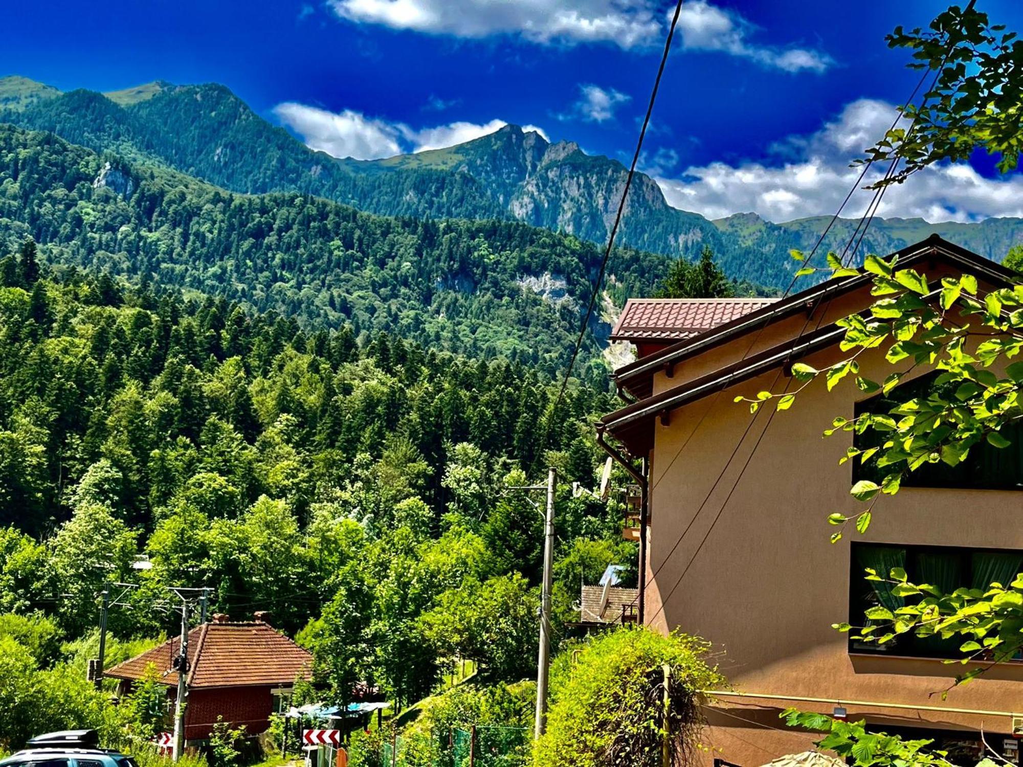 Pensiunea Roua Sinaia Kültér fotó