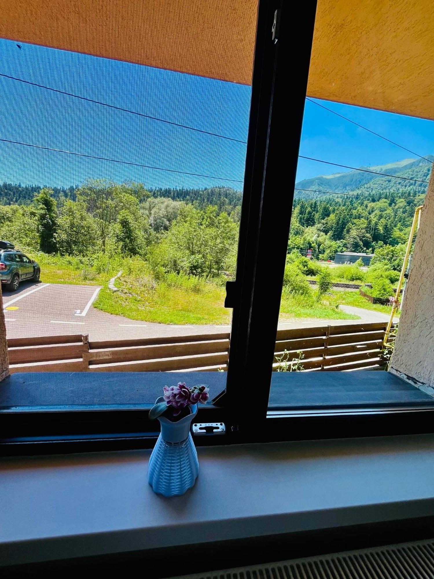 Pensiunea Roua Sinaia Kültér fotó